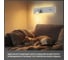 Светильник с выключателем Citilux Декарт LED USB Белый CL704460 8