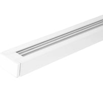 Шинопровод IN HOME RB1000-WH однофазный подвесной и накладной с вводом питания 1000x33x18мм белый 4690612060576