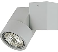 Потолочный светильник Lightstar 051020 51020