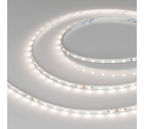 Светодиодная лента Arlight RT-A80-5mm 24V Day4000 5м 037795(1) 1
