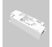 Источник тока Maytoni PSL022-ZG-DIM-250-700A 771004