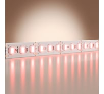 Светодиодная лента Maytoni 12В 2835 9,6Вт/м Red 5м IP 20 201171