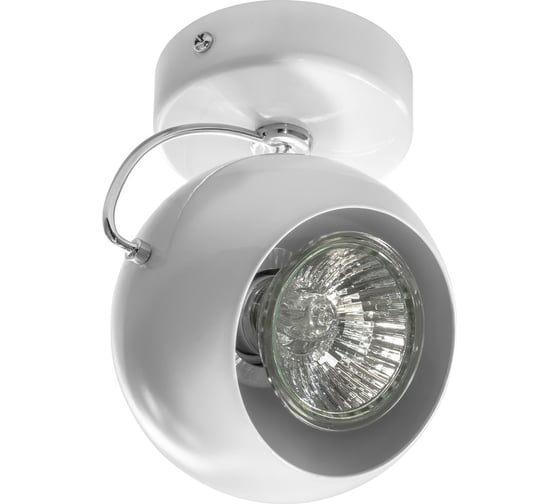 Спот Lightstar FABI 110566 1