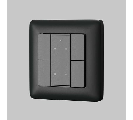 Кнопочная настенная панель Maytoni CP00202042 721044