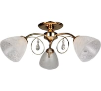 Потолочная люстра Omnilux OML-29007-03