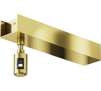 Основание потолочное Maytoni для блока питания, с вводом питания Flarity латунь TRA156C-BB1-BS