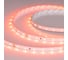 Светодиодная лента Arlight RT-A60-8mm 24V Carrot 5м 055375 1