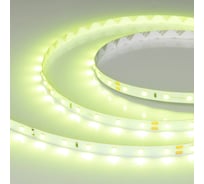 Светодиодная лента Arlight RT-A60-8mm, 24V, Spring Green, 5м 055382