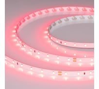 Светодиодная лента Arlight RT-A60-8mm, 24V, Ruby, 5м 055374