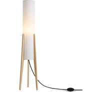 Напольный светильник Freya (торшер) FR5543FL-01T