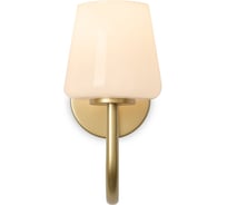 Настенный светильник (бра) Freya FR2039WL-01G