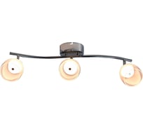 Поворотный светильник HIPER LED 3х5Вт 3000K CHROME H821-2