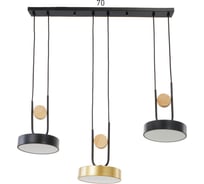Светильник BayerLux 35445/3 LED 72Вт 3000-6000К черный-золото 70х18х26 см 4941246