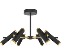 Потолочная светодиодная люстра Favourite 2324-12U