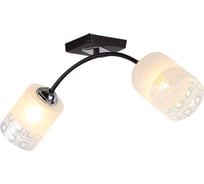 Люстра HIPER 2хE27х60Вт BLACK/CHROME H010-2