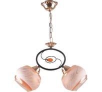 Потолочный светильник HIPER 2хE27х60Вт BLACK/GOLD H134-2