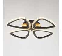 Люстра BayerLux с ПДУ 10023/4BK LED 104Вт 3000-6000К диммер черный 60х60 см 5177751