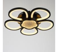 Люстра BayerLux с ПДУ 10034/6BK LED 124Вт 3000-6000К диммер черный 62х62 см 5177777