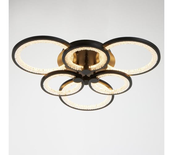 Люстра BayerLux с ПДУ 59116/6BK LED 162Вт 3000-6000К диммер черный 65х65х10 см 5109284