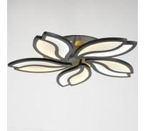 Люстра BayerLux с ПДУ 10037/5BK LED 130Вт 3000-6000К диммер черный 62х62 см 5177782