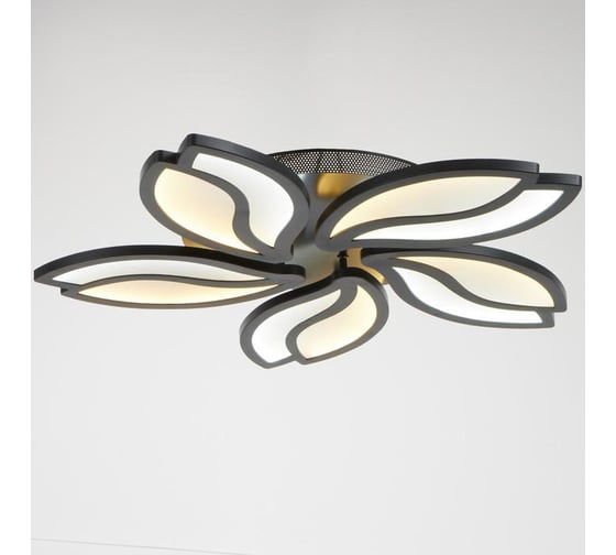 Люстра BayerLux с ПДУ 10037/5BK LED 130Вт 3000-6000К диммер черный 62х62 см 5177782
