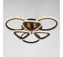 Люстра BayerLux с ПДУ 10024/6BK LED 120Вт 3000-6000К диммер черный 55х55 см 5177763