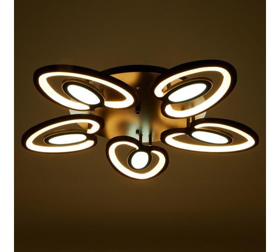 Люстра BayerLux 1094/5BK LED 80Вт 3000-6000K диммер черный 55х55 см 5310730