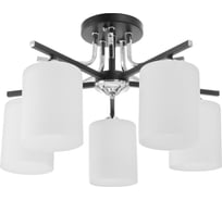 Люстра BayerLux 6591193/5, E27 40Вт черный-хром 55х55х20 см 4691590