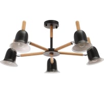 Люстра BayerLux 1049/5BK, E27 60Вт черный 80х80х50 см 5202316
