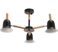 Люстра BayerLux 1049/3BK, E27 60Вт черный 70х70х50 см 5202314