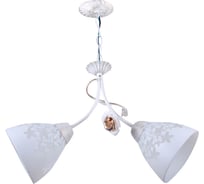 Потолочный светильник HIPER 2хE27х60Вт WHITE GOLD H136-2