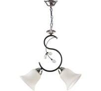 Люстра HIPER 2хЕ27х60Вт BLACK/CHROME H087-2