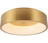 Потолочный светодиодный светильник MyFar Shannon MR2195-1PL