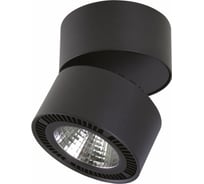 Светодиодный спот Lightstar 214817