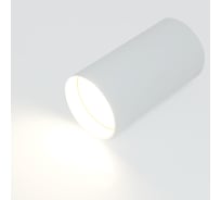 Накладной светильник (спот) General Lighting Systems General серия \\Башня\\ (D55*H100) GWL-GU10-M-IP20, направленный свет, 661803