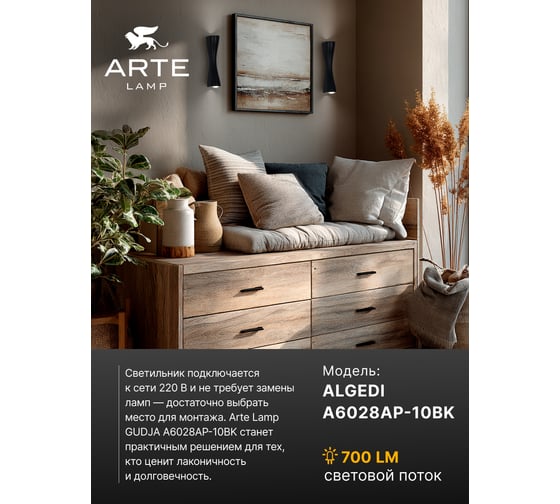 Светильник настенный ARTE LAMP A6028AP-10BK