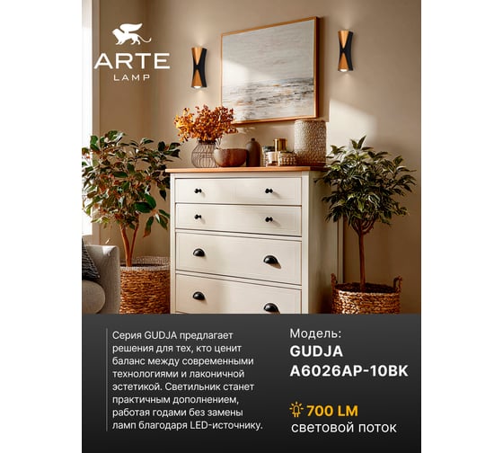 Светильник настенный ARTE LAMP A6026AP-10BK