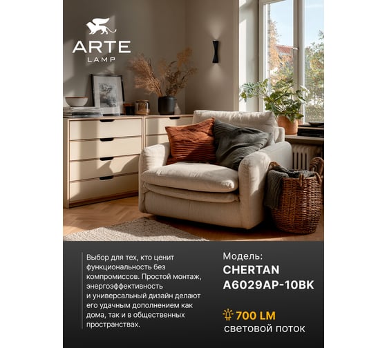 Светильник настенный ARTE LAMP A6029AP-10BK