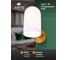 Светильник настенный ARTE LAMP A5454AP-1PB 3