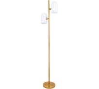 Светильник напольный ARTE LAMP A5454PN-2PB