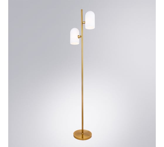 Светильник напольный ARTE LAMP A5454PN-2PB