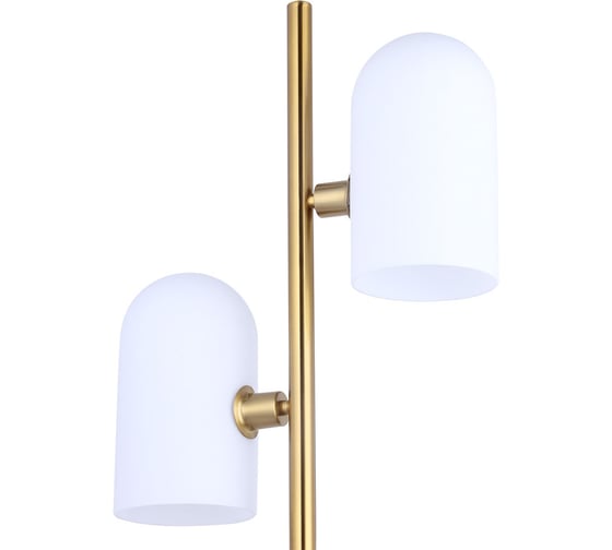 Светильник напольный ARTE LAMP A5454PN-2PB