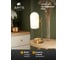 Светильник настольный ARTE LAMP A5454LT-1PB 3