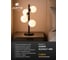 Светильник настольный ARTE LAMP A2243LT-4BK 2