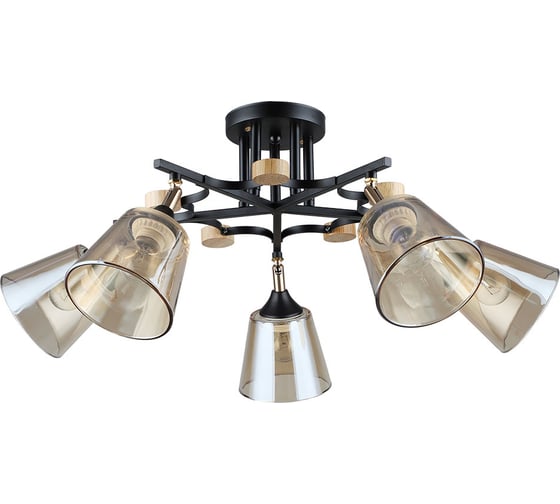 Светильник потолочный ARTE LAMP A5078PL-5BK 1