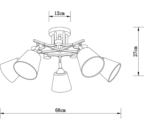 Светильник потолочный ARTE LAMP A5078PL-5BK