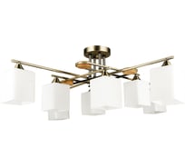 Светильник потолочный ARTE LAMP A4497PL-8AB