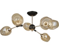 Светильник потолочный ARTE LAMP A4211PL-6BK