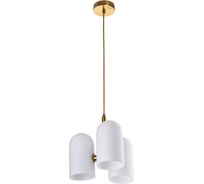 Светильник подвесной ARTE LAMP A5454SP-3PB