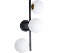 Светильник потолочный ARTE LAMP A2243PL-3BK